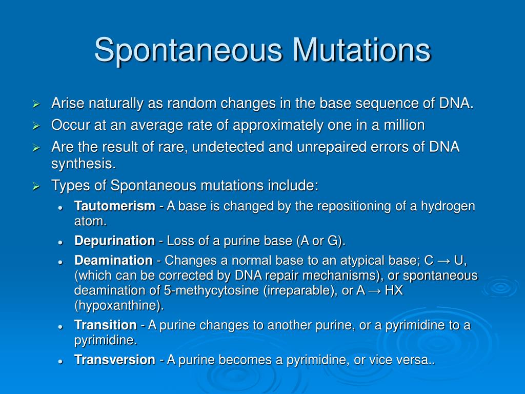 PPT Mutations a source of variation PowerPoint Presentation, free download ID975208