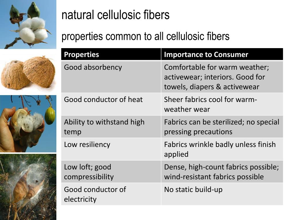 PPT FASH 15 textiles natural cellulosic fibers—seed fibers PowerPoint