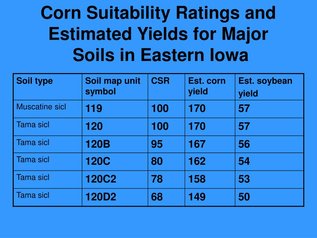 PPT Corn Suitability Ratings An Index to Soil Productivity PowerPoint