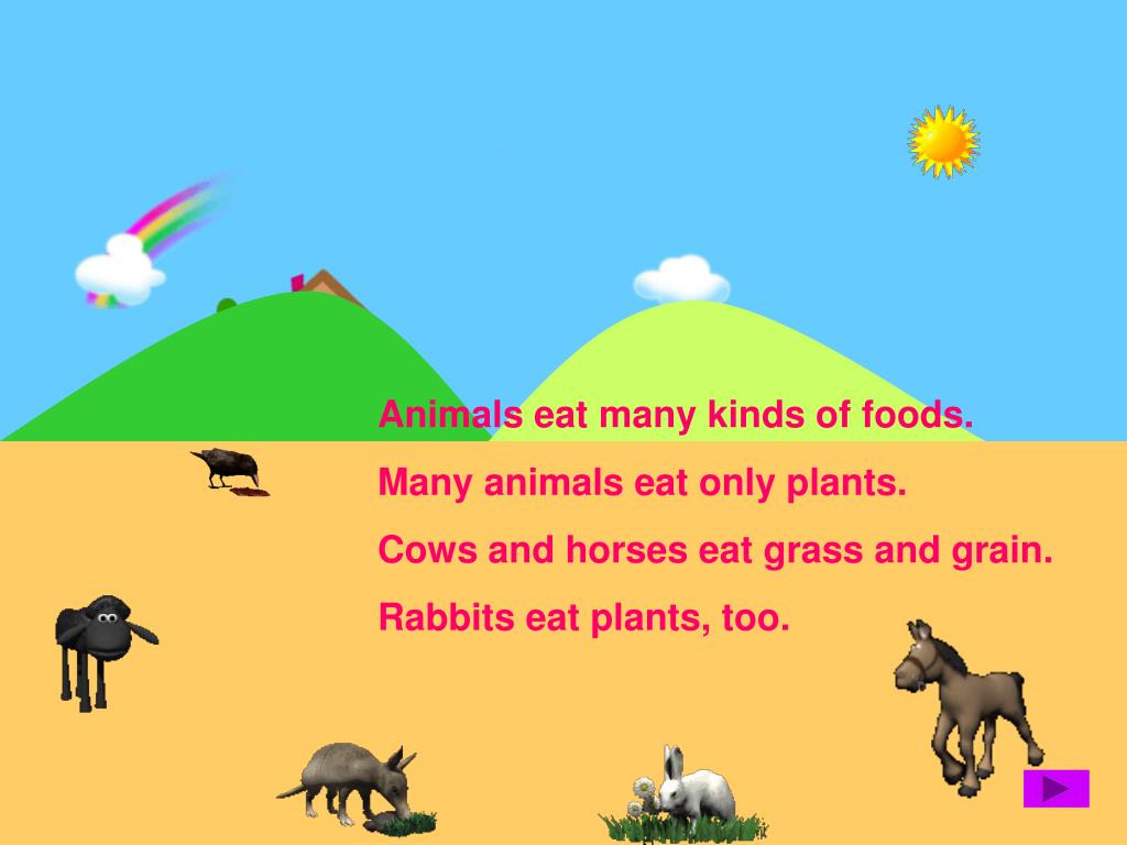 PPT What are animals ? Animals are living things that move, eat