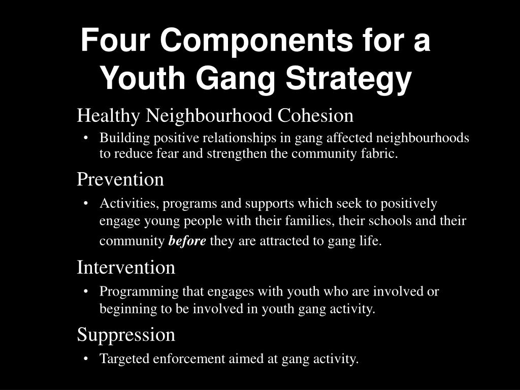 PPT The Ottawa Youth Gang Prevention Initiative (OYGPI) PowerPoint Presentation ID984165
