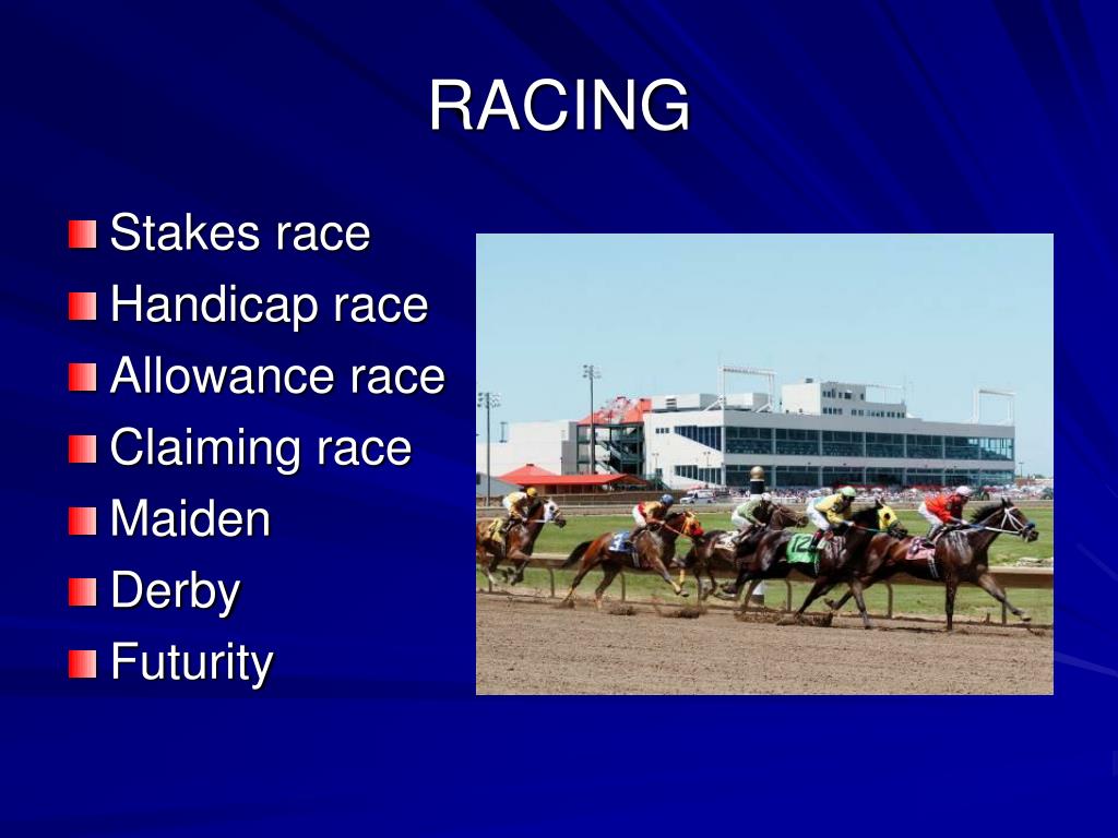 PPT EVOLUTION OF THE HORSE PowerPoint Presentation, free download