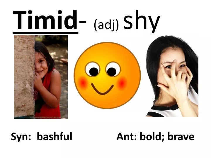PPT Timid (adj) shy PowerPoint Presentation, free