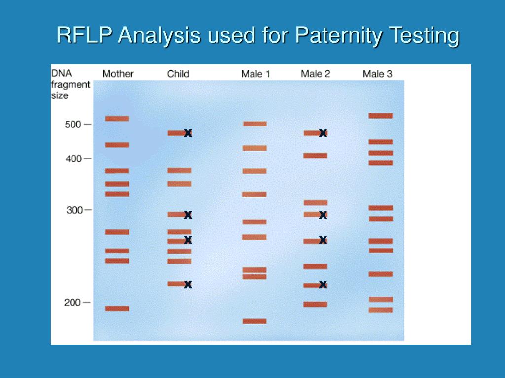 PPT Biotechnology Methods PowerPoint Presentation, free download ID