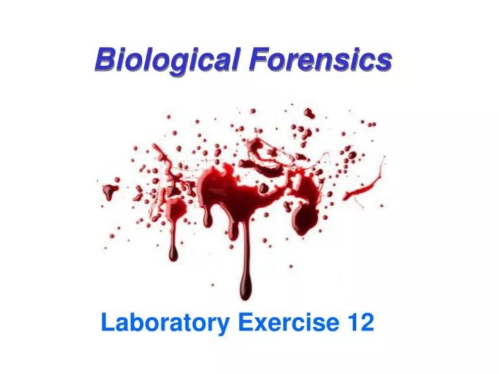 PPT Biological Forensics PowerPoint Presentation, free download ID987833