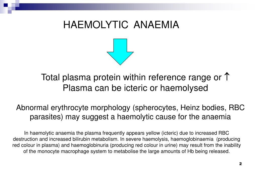 PPT TYPES OF ANAEMIA PowerPoint Presentation ID989039