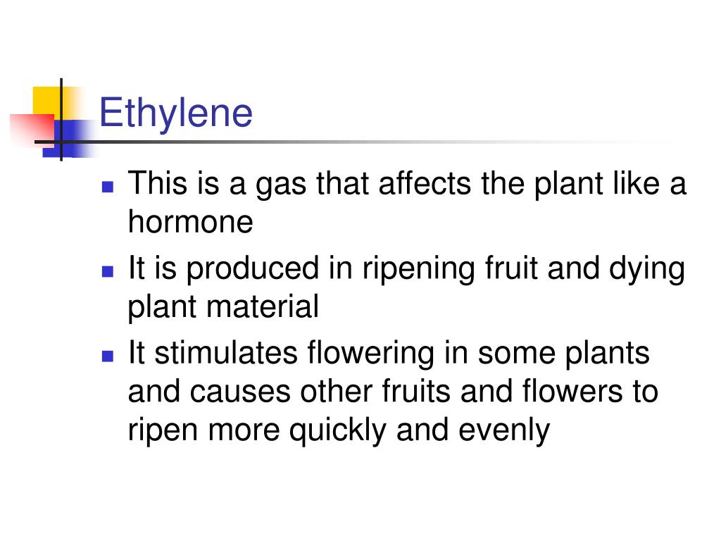 PPT Understanding Plant Growth Regulators PowerPoint Presentation