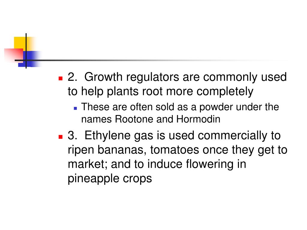 PPT Understanding Plant Growth Regulators PowerPoint Presentation