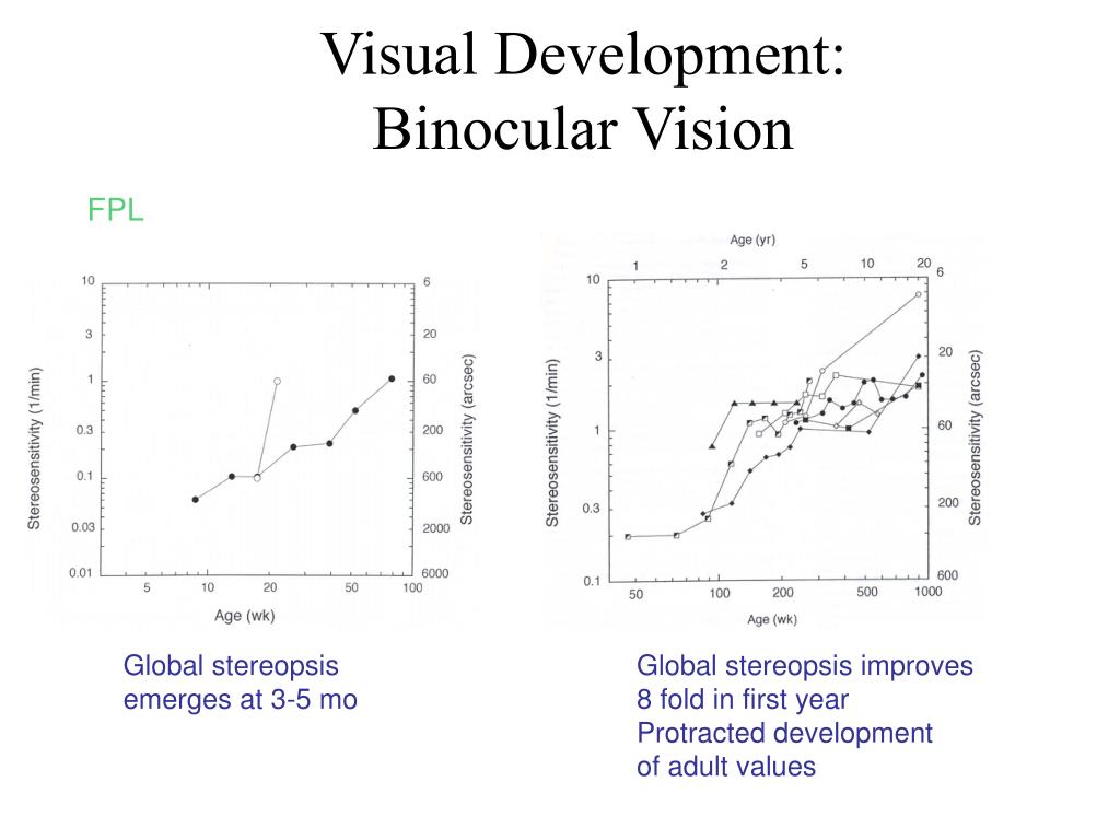 PPT Visual Development & Amblyopia PowerPoint Presentation, free