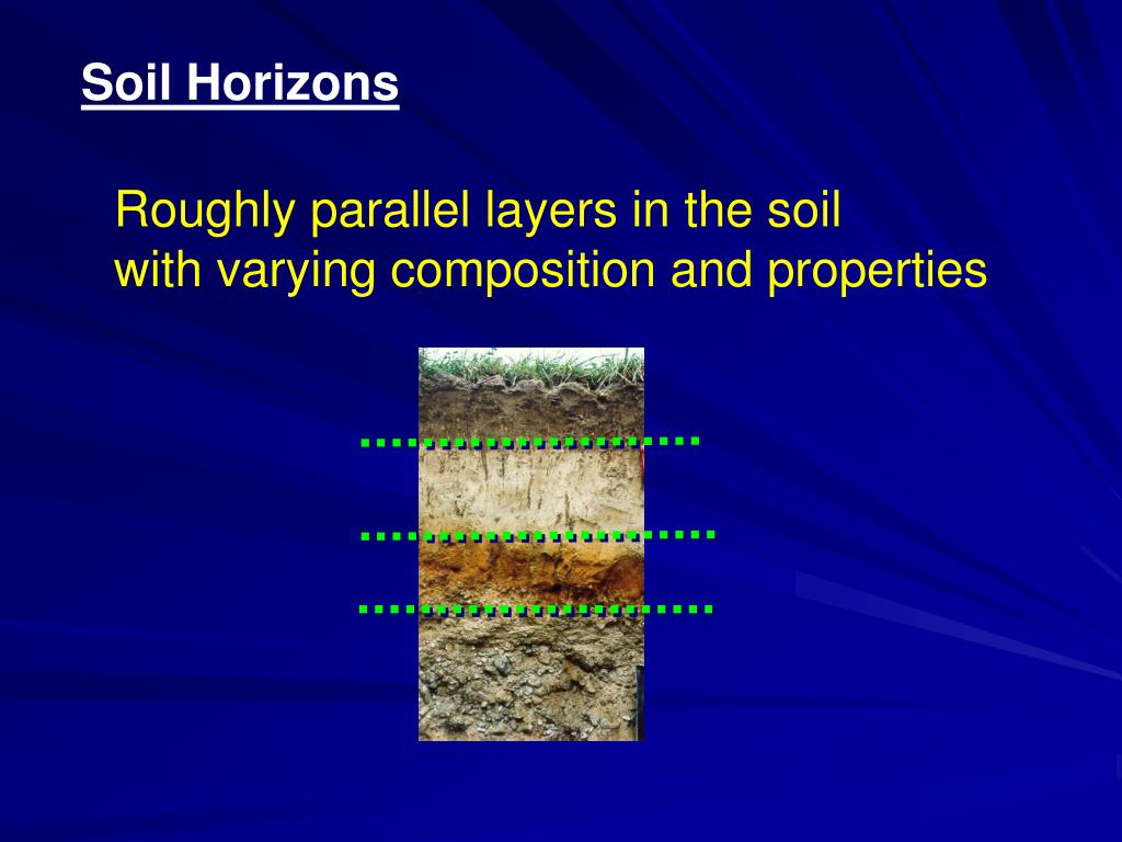 PPT Characterizing Soil Horizons PowerPoint Presentation, free