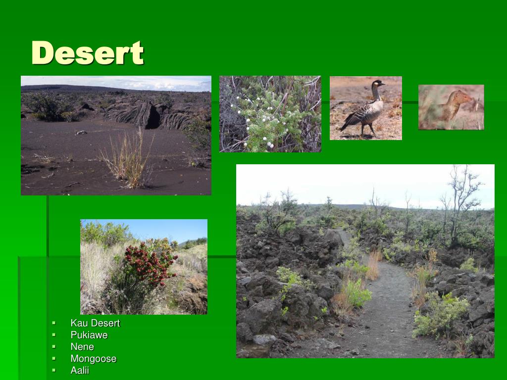 PPT Ecosystems A look at Hawaii Volcanoes National Park PowerPoint