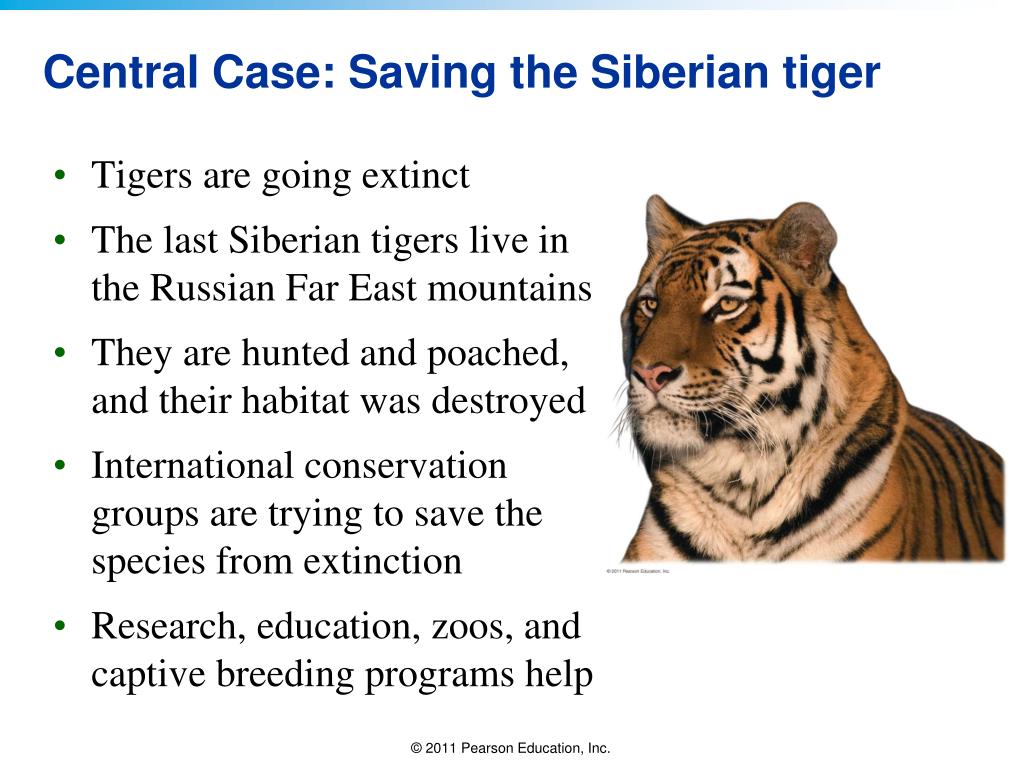 PPT Lecture Outlines Chapter 11 Environment The Science behind the