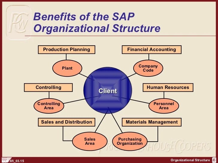SAP FI Organization Structure | http://sapdocs.info