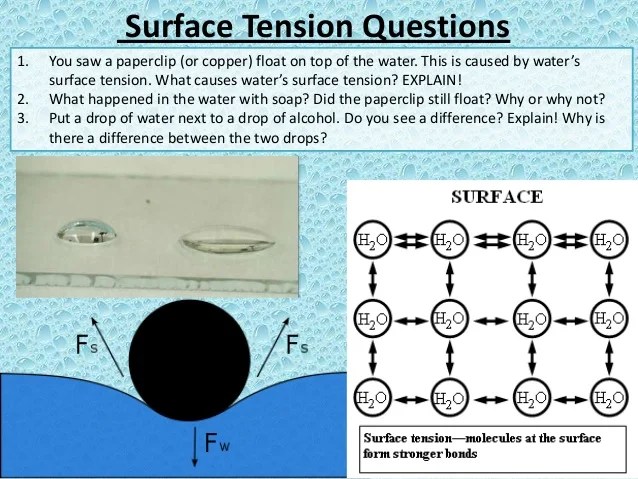 Properties of Water Lab Questions