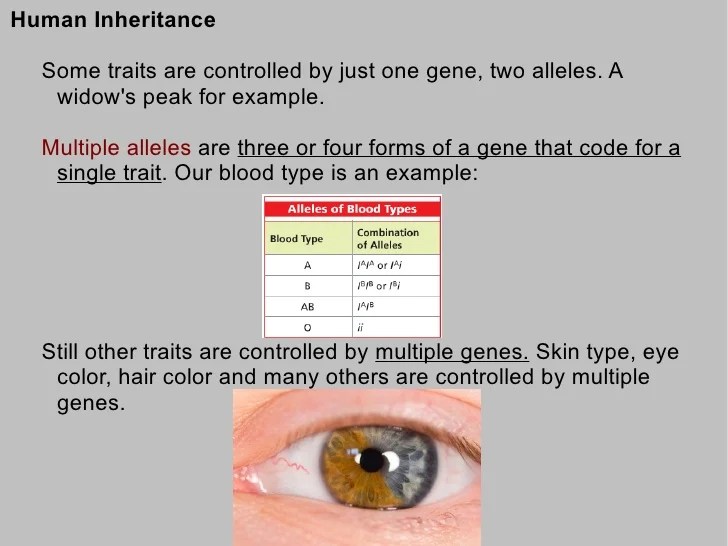 Human Inheritance & Disorders