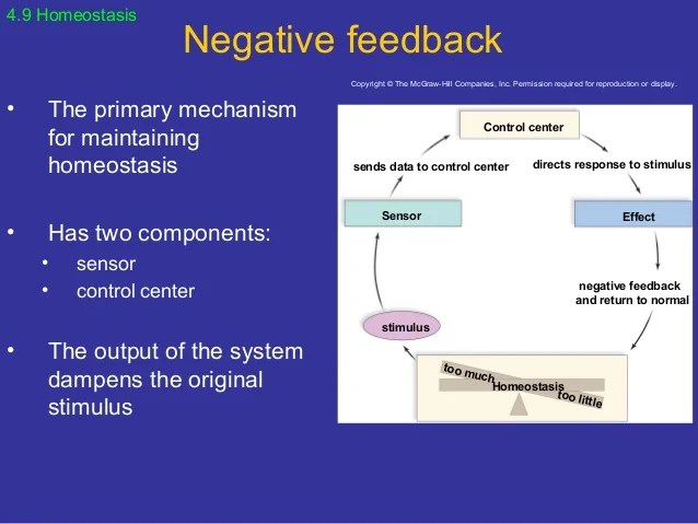 04 lecture animation_ppt