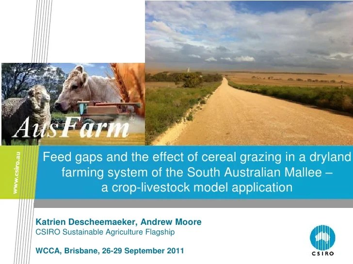 Feed gaps and the effect of cereal grazing in a dryland