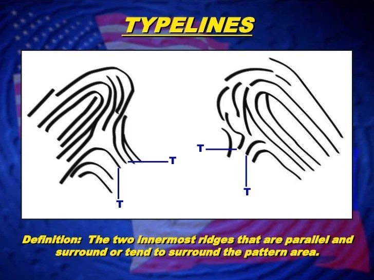 Fingerprint Classification Loop Patterns