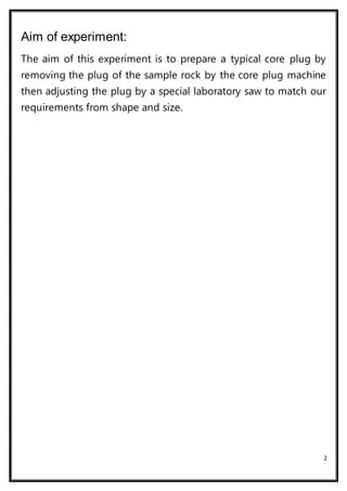 Core plug test | DOCX