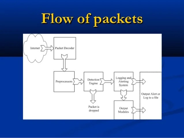 Network Intrusion Detection System Using Snort