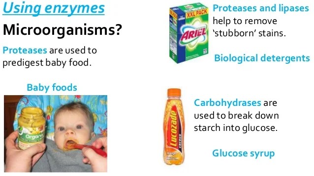 B23.5 making use of enzymes