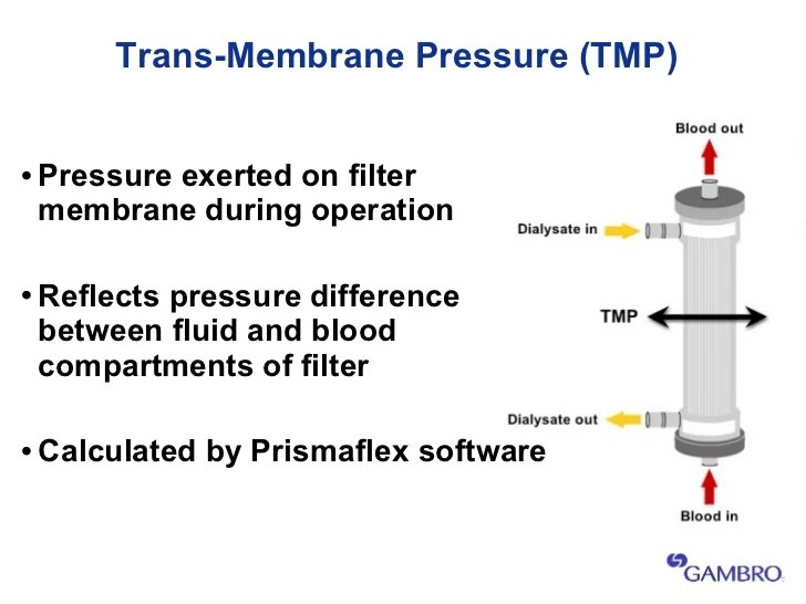 3 prismaflex basic setup operation