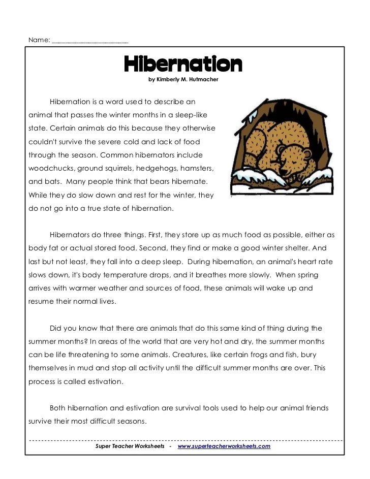 3rd hibernation
