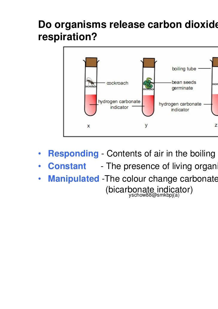 form1sciencechapter5part2