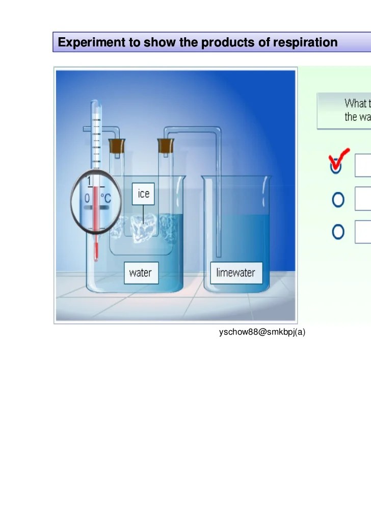 form1sciencechapter5part2