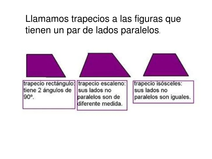 6.1 formas poligonales web