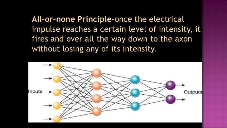 A. biological bases of behavior2