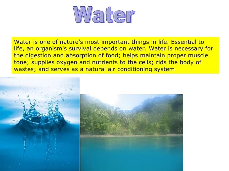 Abiotic Components