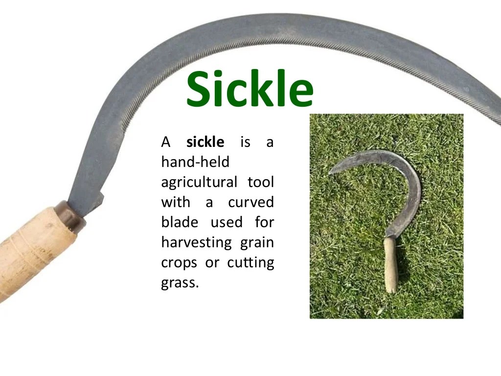 Ancient Farming Tools
