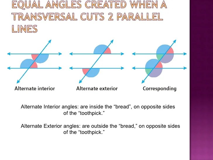Luxury 75 of Interior Exterior And Corresponding Angles | a-zwildlife