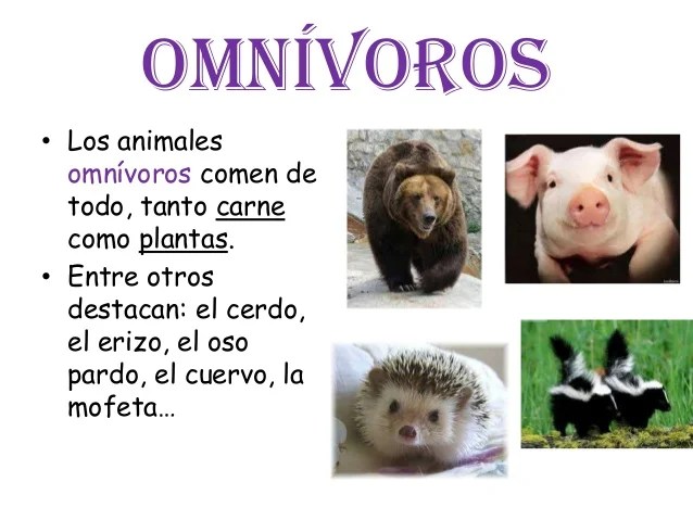 Clases de Animales