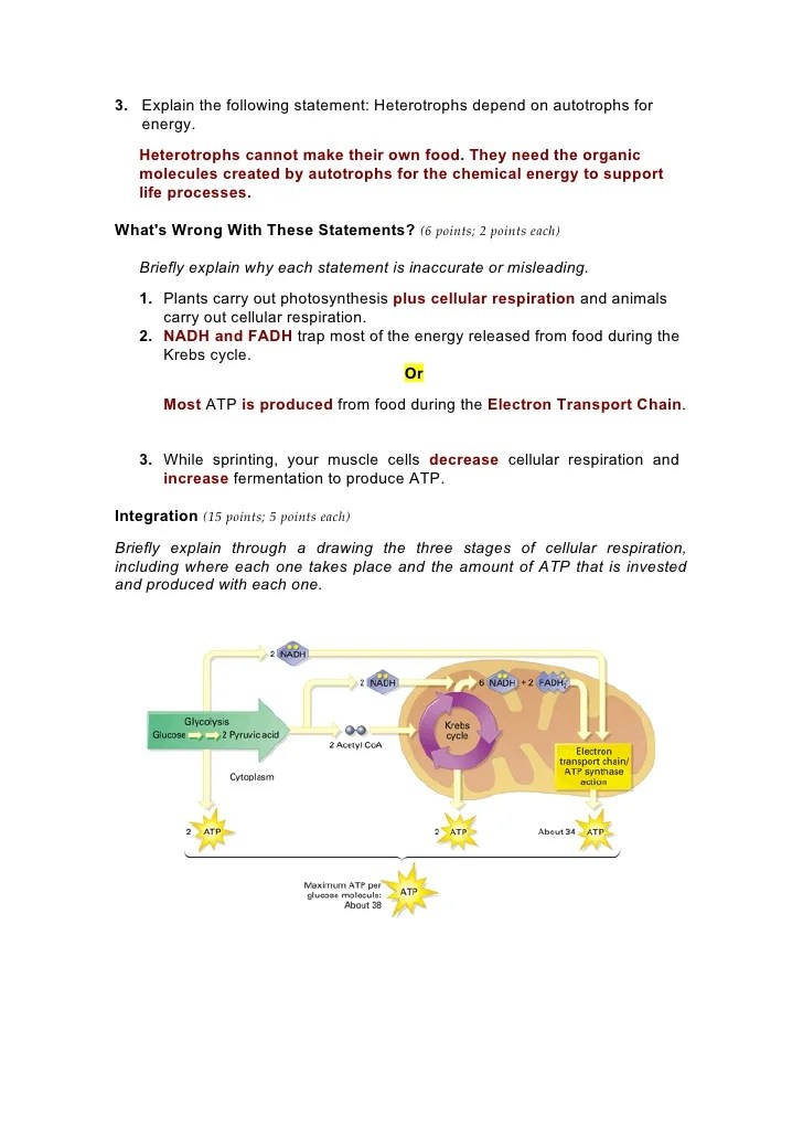 7.1 Life Is Cellular Answer Key Lesson 7 2 Cell Structure Worksheet