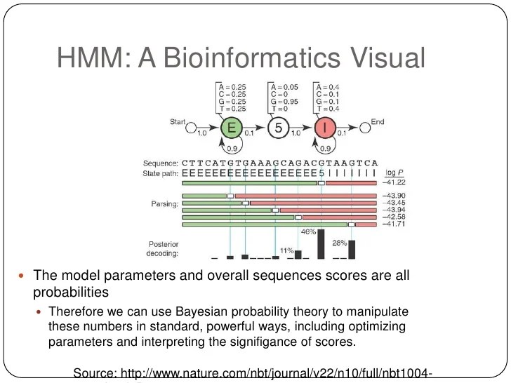 Applying Hidden Markov Models to Bioinformatics