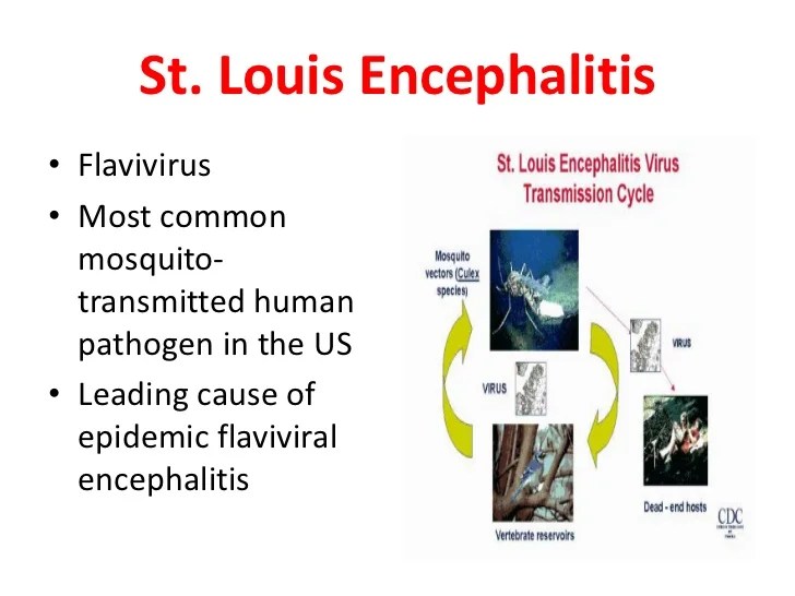 Arthropod borne viruses part teaching 1
