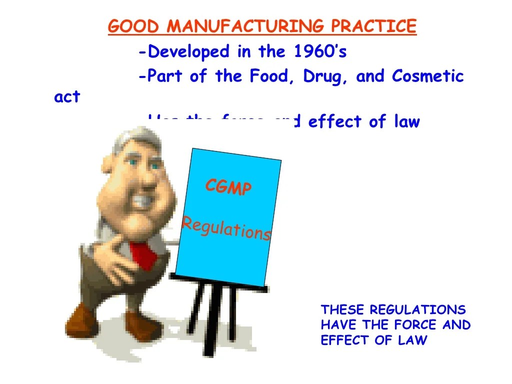 Back To Basic Gmp