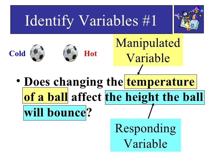Basic variables ppt