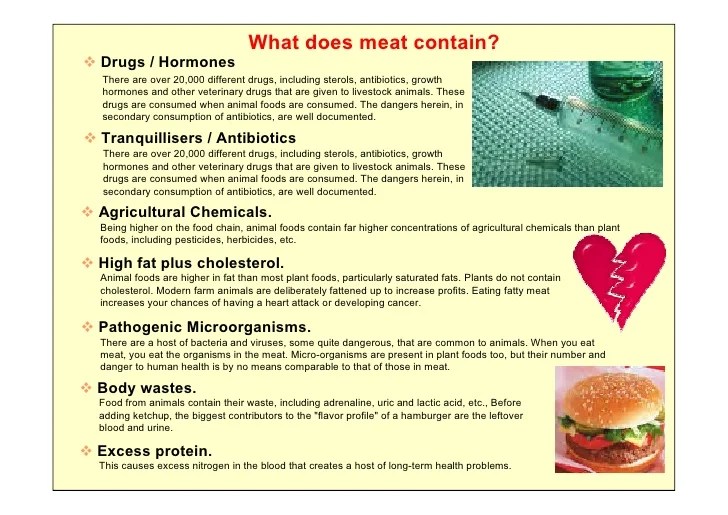 😊 Disadvantages of vegetarianism essay. 10 Advantages and Disadvantages