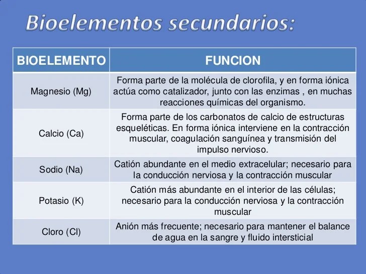 BIOELEMENTOS Y BIOMOLECULAS
