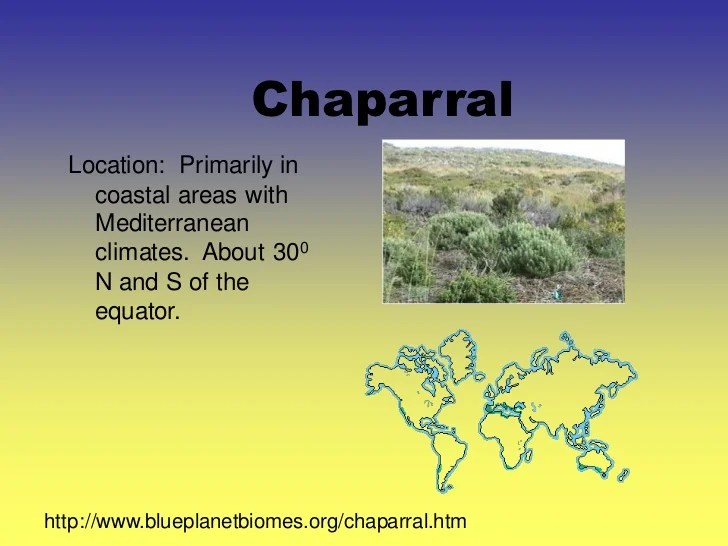 Biome presentation