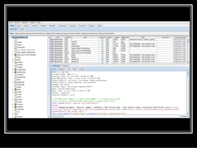 Spider Burp Suite