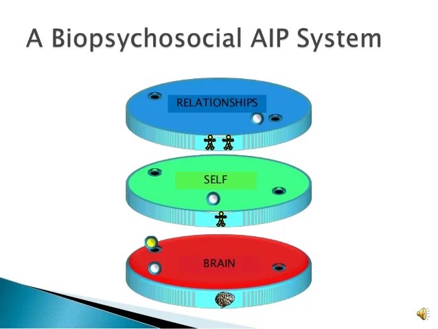 Biopsychosocial Adaptive Information Processing