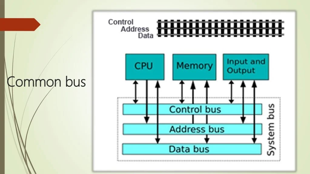 Buses and protocol