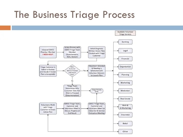 Business Triage Program And Process Overview 032610