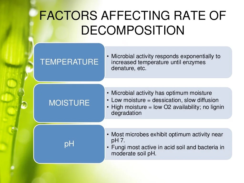 organic matter