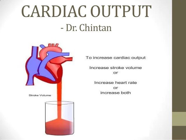 15 Min Why Is Cardiac Cycle So Important For Man