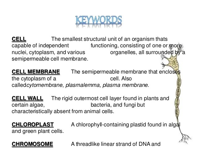Cell Structure And Function For Class 8